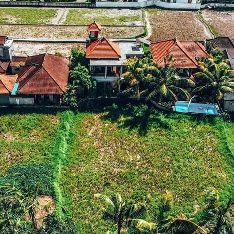 Bird's eye view, Garden view