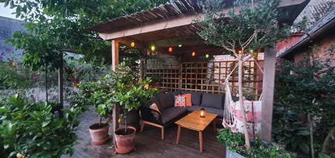 Patio, Summer, Balcony/Terrace, Seating area