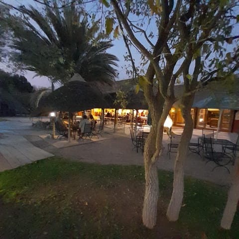 Patio, Restaurant/places to eat, Garden view