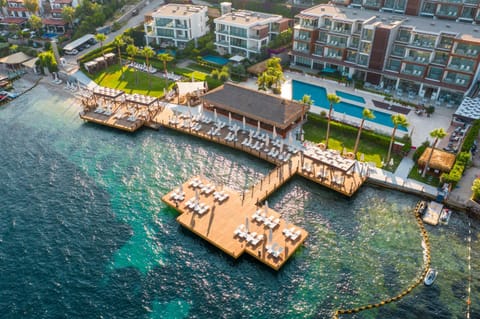 Bird's eye view, Beach