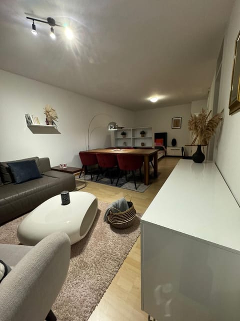 Stylish flat close to Basel with a stunning view Apartment in Riehen
