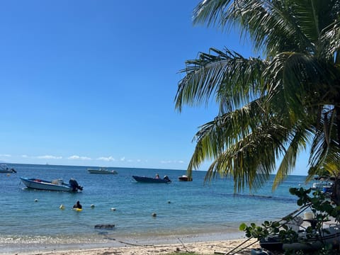 Natural landscape, Beach