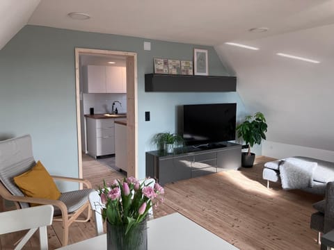 TV and multimedia, Living room, Evening entertainment