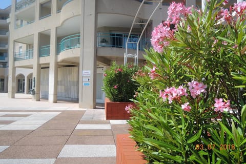 Les Pins Bleus - Antibes Juan Les Pins Apartment in Antibes