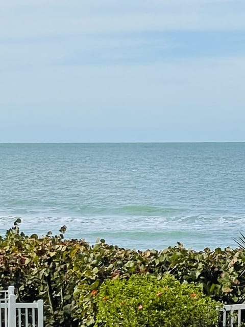 Natural landscape, Beach, Sea view
