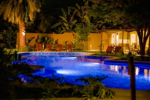 Garden, Pool view, Swimming pool