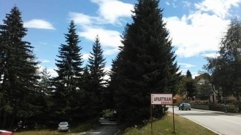 Day, Neighbourhood, Text overlay