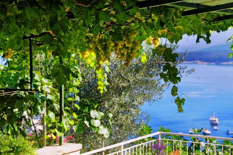 Day, Summer, Sea view