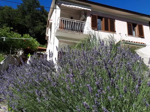 Facade/entrance, Garden
