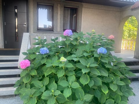 Lampėdis Apartment in Lithuania