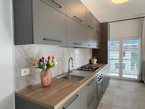 Kitchen or kitchenette, dishwasher, pet friendly, stove