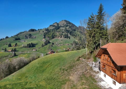 Bird's eye view, View (from property/room)