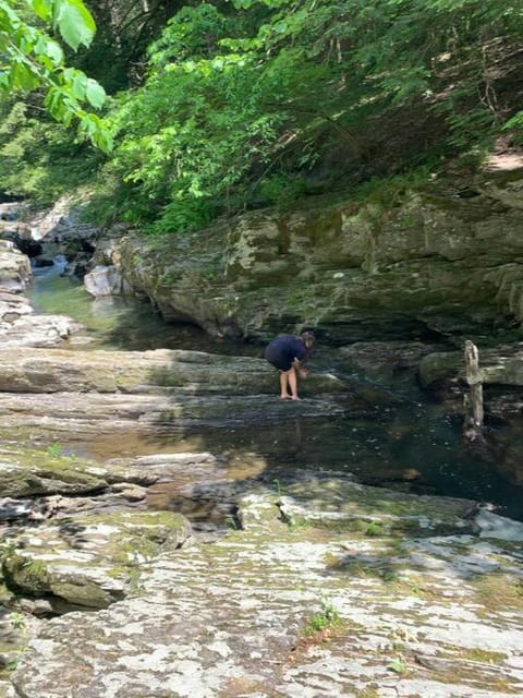 The Cottage in East Poultney Country House in Poultney