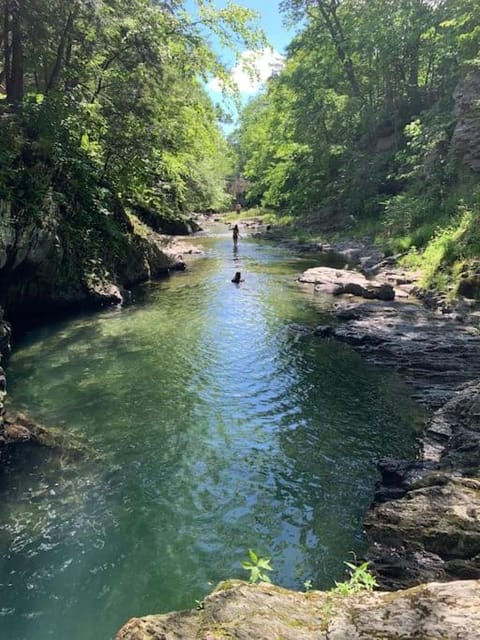 The Cottage in East Poultney Country House in Poultney