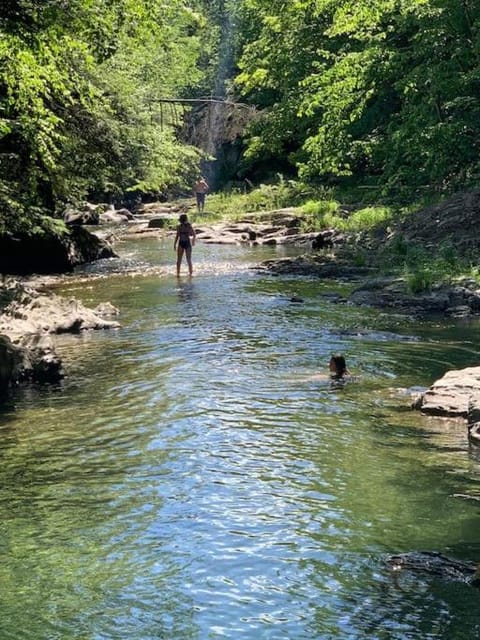 The Cottage in East Poultney Country House in Poultney