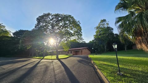 Garden, Garden view, Sunset
