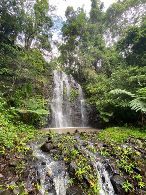 Nearby landmark, Spring, Natural landscape