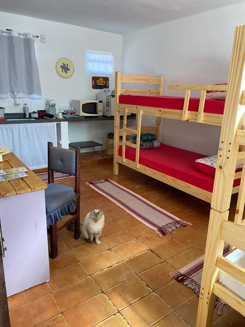 Bed, Kitchen or kitchenette, Photo of the whole room, Dining area, Bedroom, bunk bed