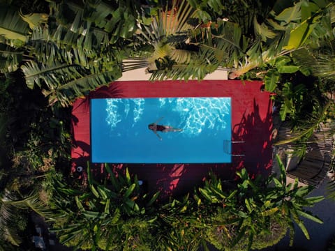 Day, Natural landscape, Garden, Garden view, Pool view, Swimming pool