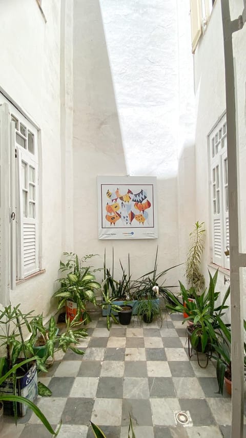 Garden, Garden view