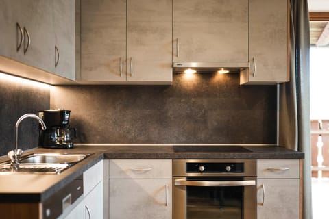 Kitchen or kitchenette, dishwasher, stove