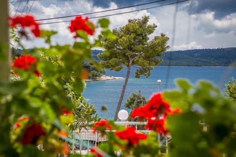 Day, Natural landscape, Sea view