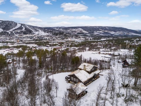Property building, Bird's eye view, Winter, Mountain view