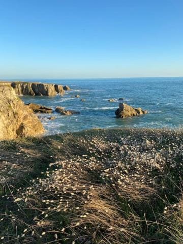 Nearby landmark, Natural landscape, Beach
