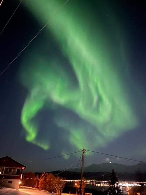 Arctic Comfort Senja Apartment in Nordland, Norway