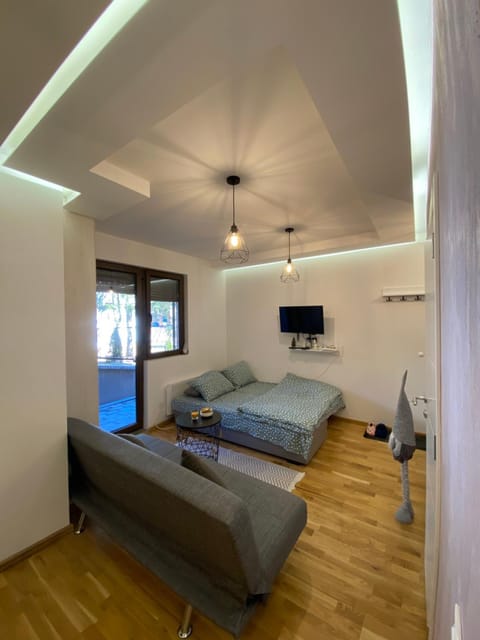 Bed, TV and multimedia, Living room, Seating area