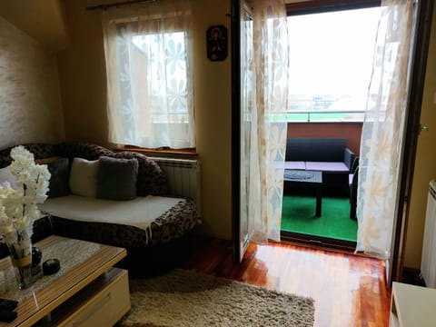 Cozy land Apartment in Vojvodina