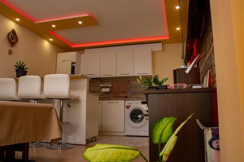 Kitchen or kitchenette, Living room, minibar, pet friendly, stove, washing machine