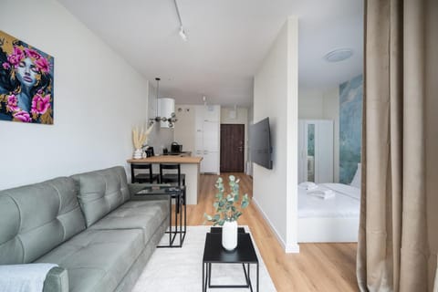 TV and multimedia, Kitchen or kitchenette, Living room, Seating area, Dining area
