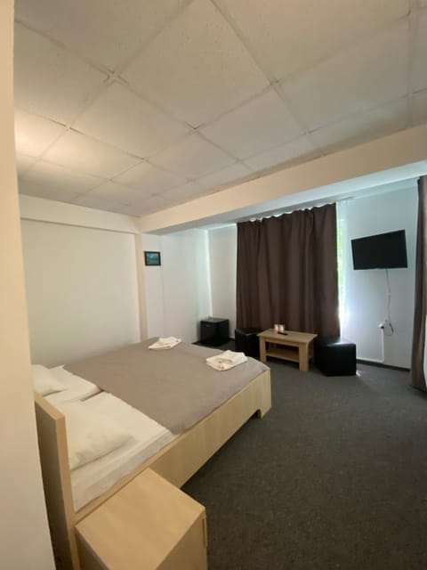 Pensiunea Ambasador Bed and Breakfast in Serbia