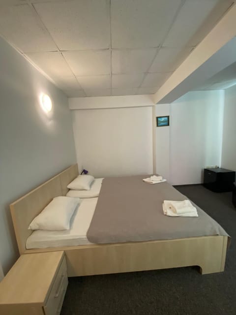 Pensiunea Ambasador Bed and Breakfast in Serbia