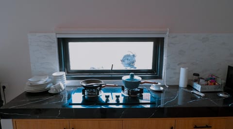 Kitchen or kitchenette, kitchen