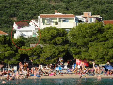 People, Beach, Area and facilities, group of guests