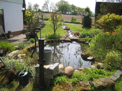 Garden, Garden view