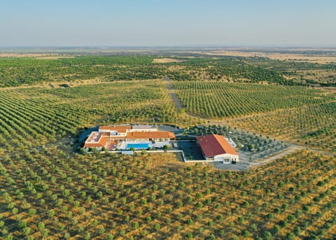 Natural landscape, Bird's eye view