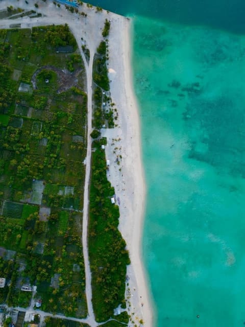 Nearby landmark, Day, Natural landscape, Bird's eye view, Beach, Sea view