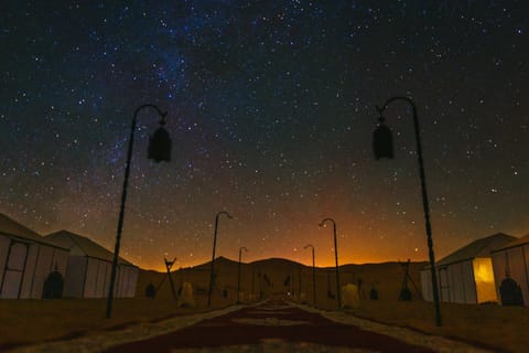 Night