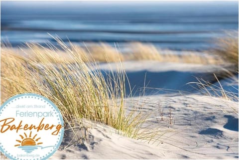 Bungalow WALD & SAND direkt am Strand House in Mecklenburg-Vorpommern, Germany