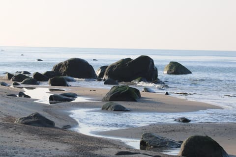 Bungalow WALD & SAND direkt am Strand House in Mecklenburg-Vorpommern, Germany