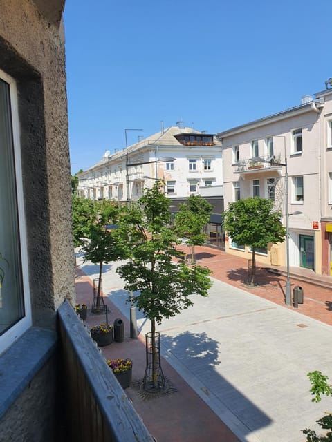 Day, Neighbourhood, Street view, Location