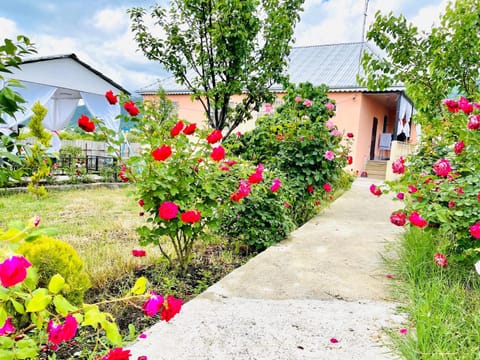 Property building, Spring, Garden view