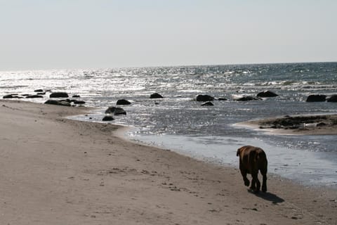 CAMPER STELLPLATZ für dein Camper oder WoMo DIREKT am STRAND Campground/ 
RV Resort in Mecklenburg-Vorpommern, Germany