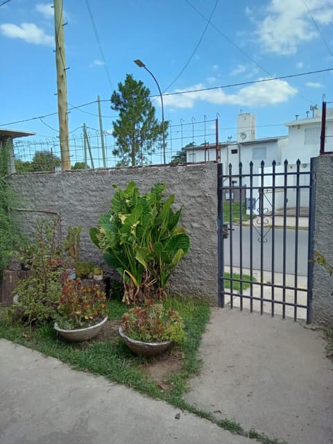 Spring, Garden, Garden view