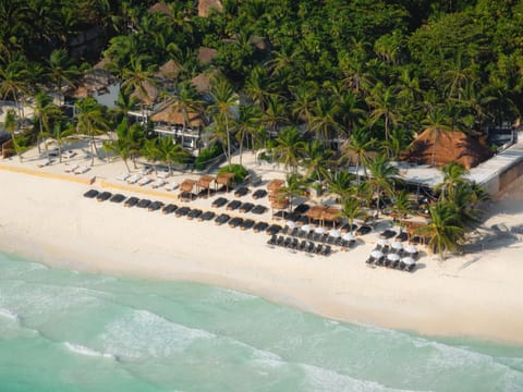 Bird's eye view, Beach