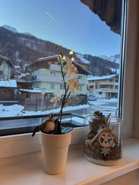 Chalet Ester Apartment in Bad Hofgastein