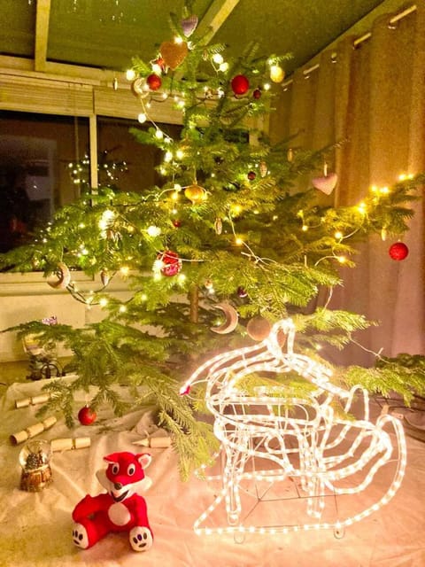 Cheerful villa with fireplace, bath-tub and garden Villa in Haute-Savoie